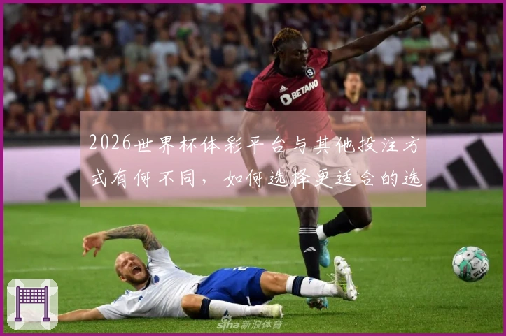 2026世界杯体彩平台与其他投注方式有何不同，如何选择更适合的选项？