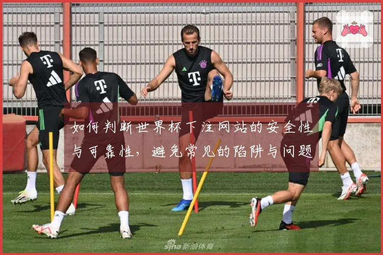 如何判断世界杯下注网站的安全性与可靠性，避免常见的陷阱与问题